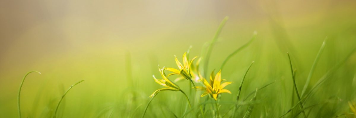 Jak podpořit péči při perinatální ztrátě