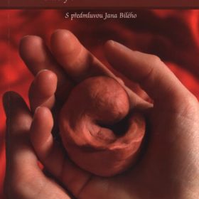 Lucie Lebdušková – Čekala jsem miminko, –ale už tu není : [příběhy o ztrátě dítěte v těhotenství]