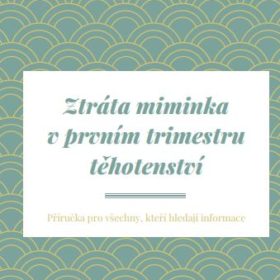 Bylo tu – není tu – Ztráta miminka v prvním trimestru těhotenství