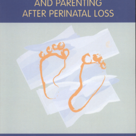 Joann O’Leary, Jane Warland – Meeting the needs of parents pregnant and parenting after perinatal loss