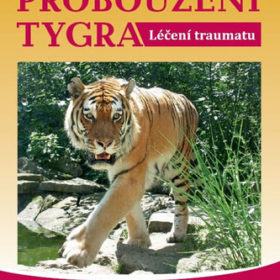 Peter A. Levine – Probouzení tygra
