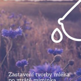 Zastavení tvorby mléka po ztrátě miminka