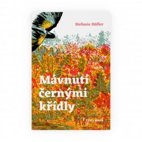 Mávnutí černými křídly