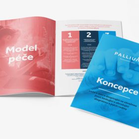 Koncepce péče o děti a dospívající se závažnou život limitující a ohrožující diagnózou a jejich rodiny