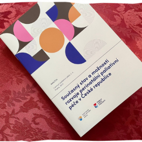 Současný stav a možnosti  rozvoje perinatální paliativní  péče v České republice – ANALÝZA